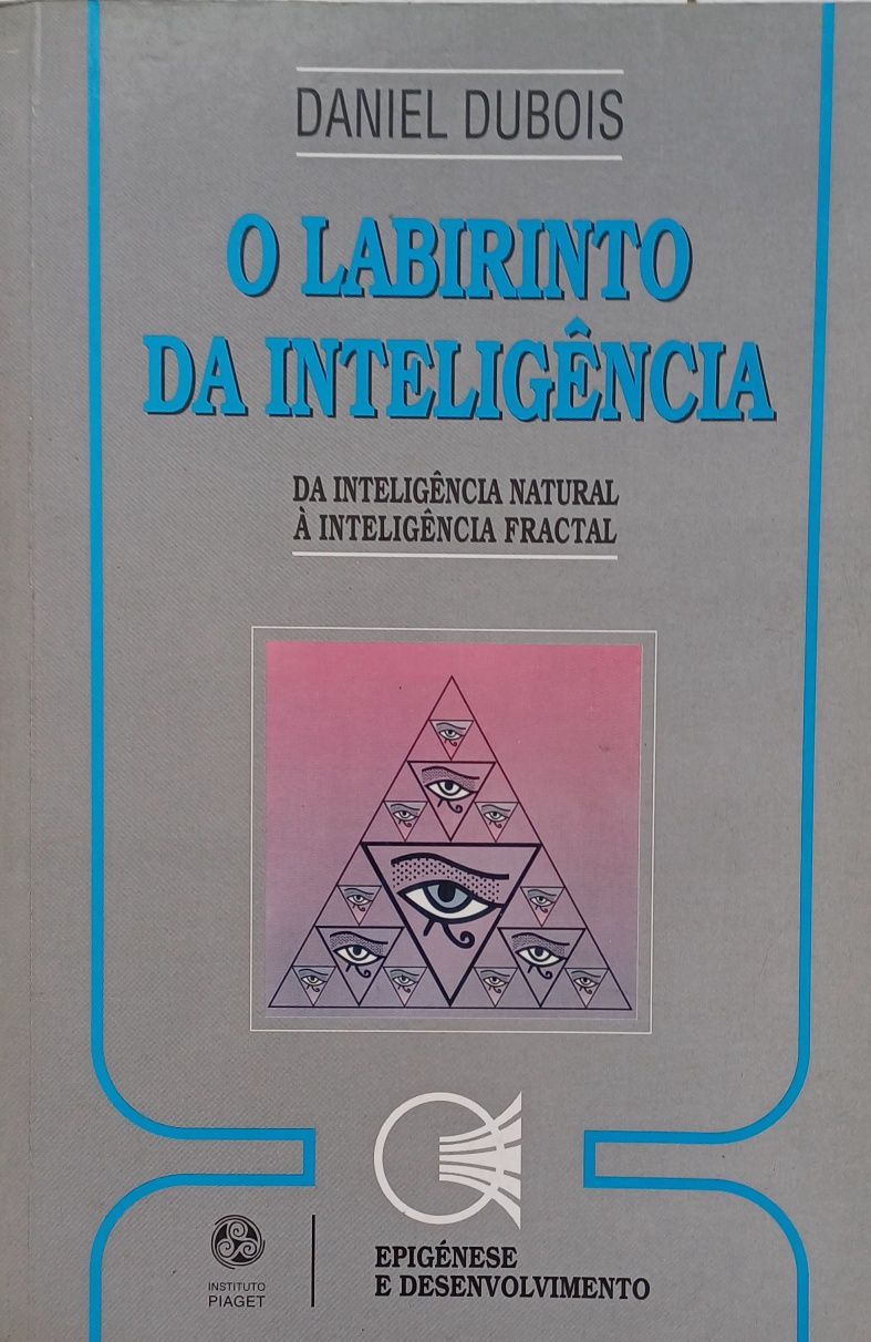 Inteligência O Labirinto