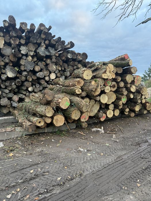 Drewno kominkowe opałowe twarde buk dąb grab