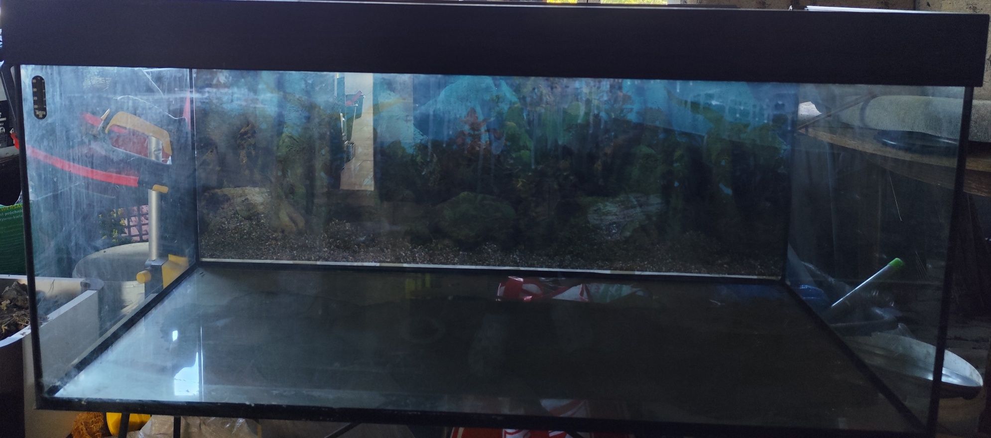 Akwarium szerokie 119 x 50 x 50