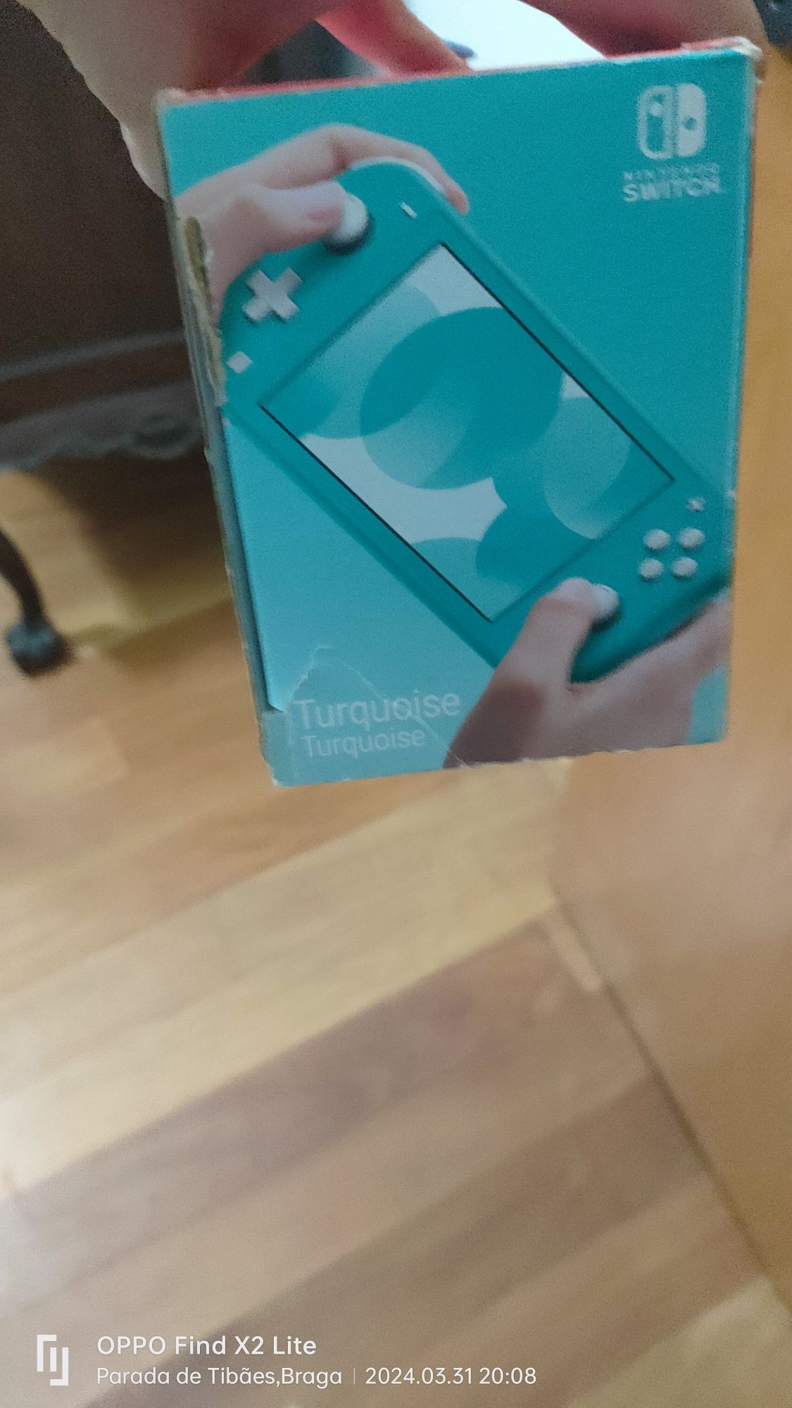 Nintendo switch lite