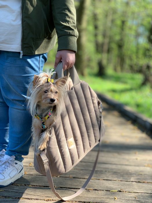 Torba dla psa york maltańczyk shih tzu chihuahua pomeranian