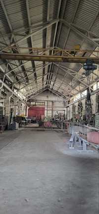 Оренда виробничо-складського приміщення до 1000 м2