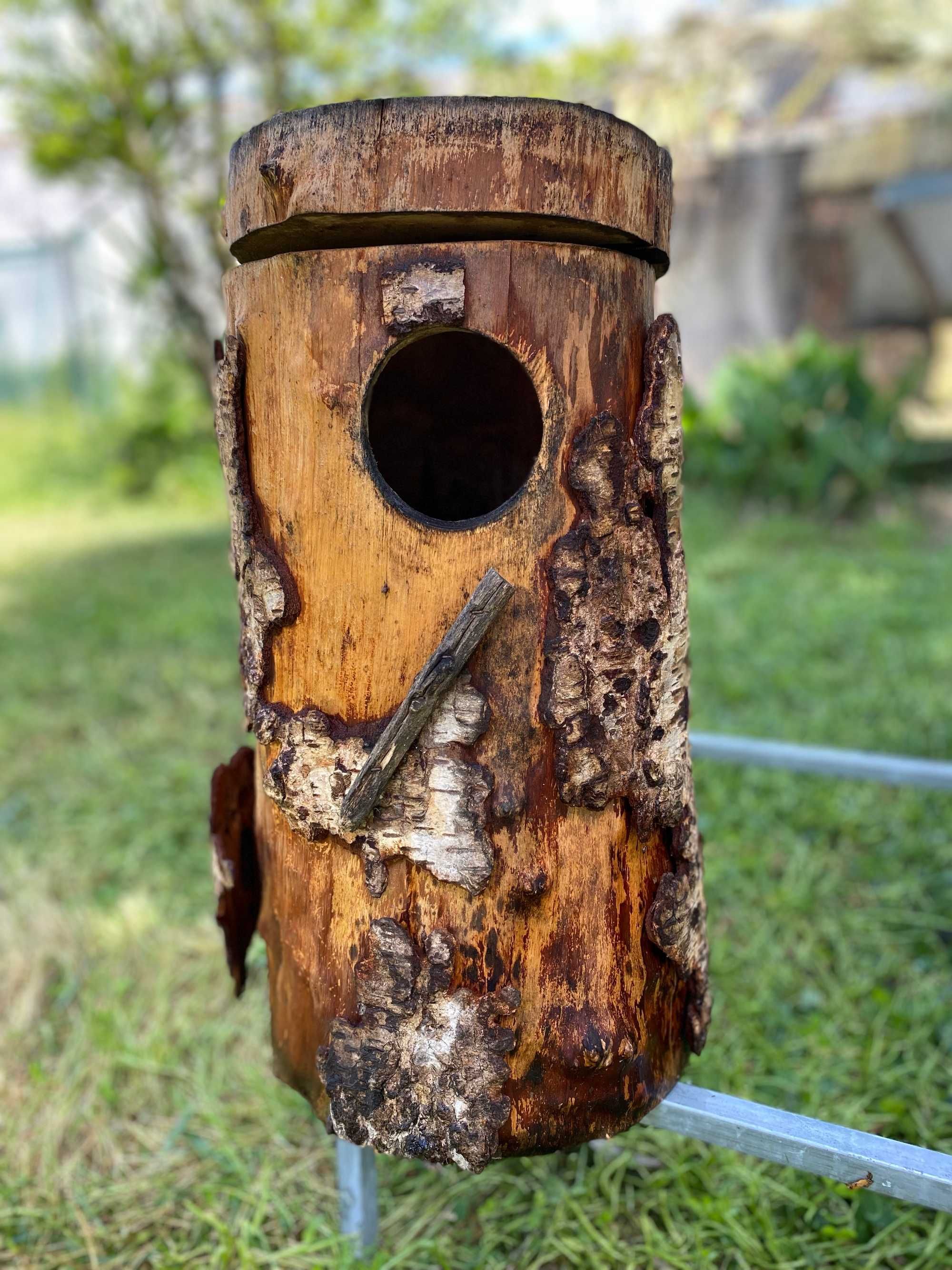 Vendo Ninhos de Troncos de Árvore