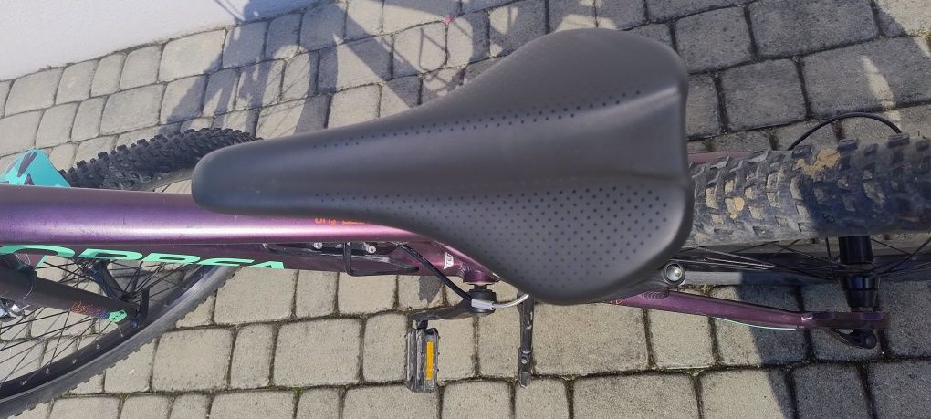 Rower Orbea MX 24