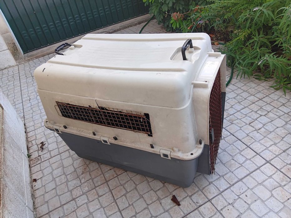 Casota barraca transportadora para cão