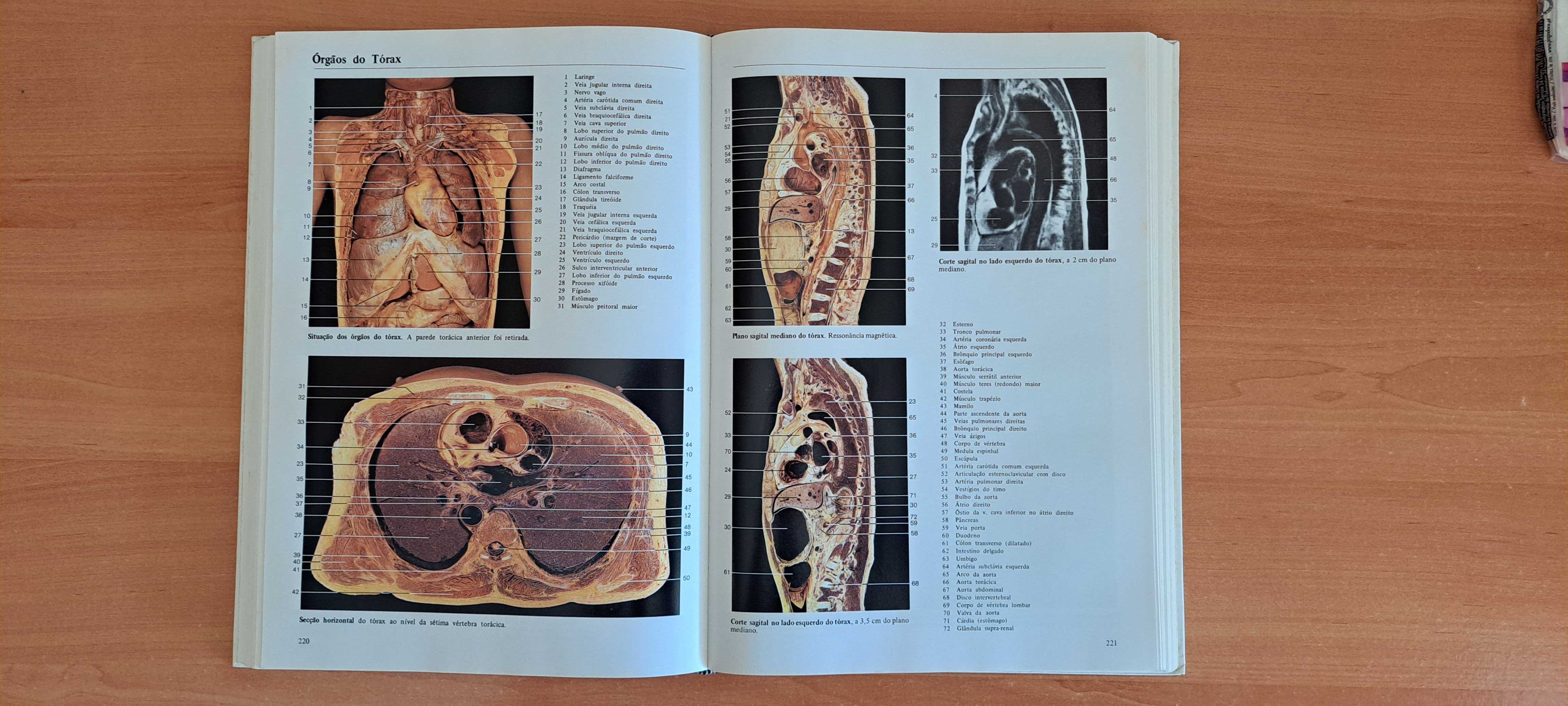 Anatomia Humana (Rohen, Yokochi)