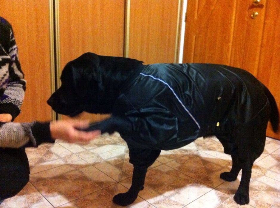 Одяг для собаки довжина 55 см