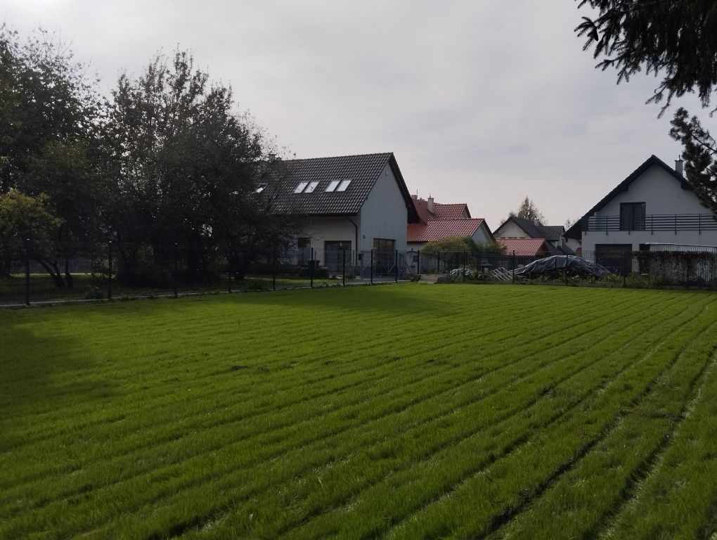 Zakładanie trawnika / System nawadniania