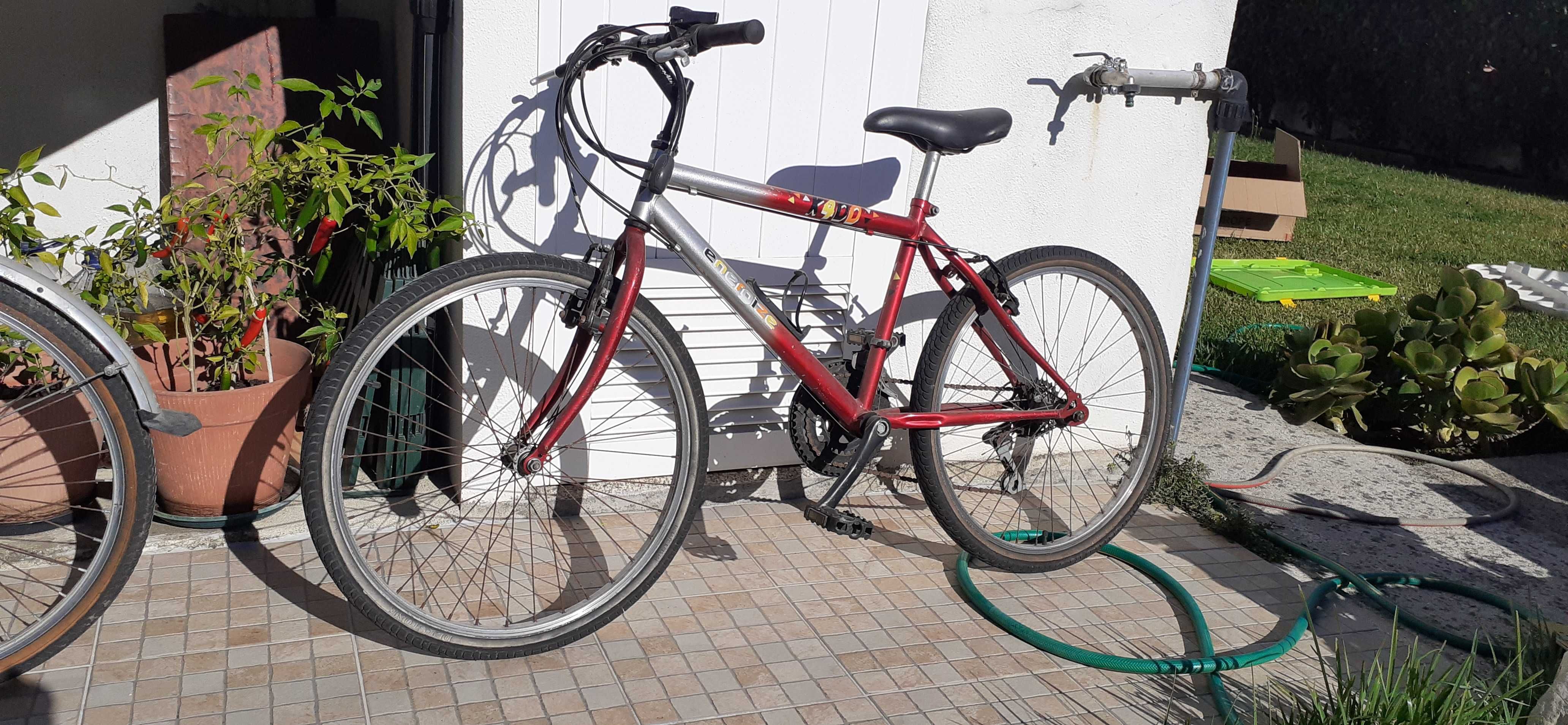 conjunto 2 Bicicletas (Roda 24) - 1 rapariga + 1 rapaz