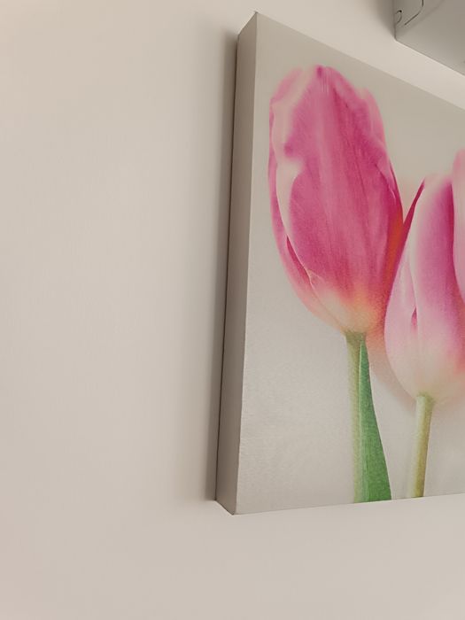 Obraz tulipany  45x140