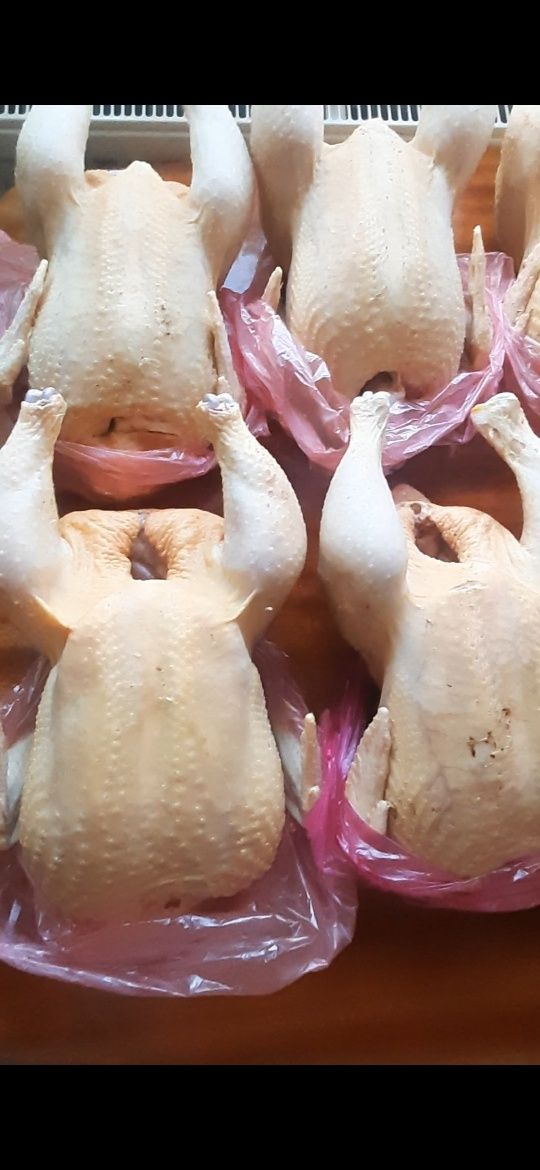 Тушки домашнего бройлера