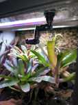 Dysza MIUS system zraszania NOWA paludarium