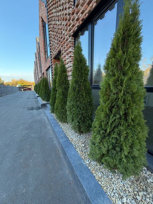 Продам Таунхаус ЖК Адмірал