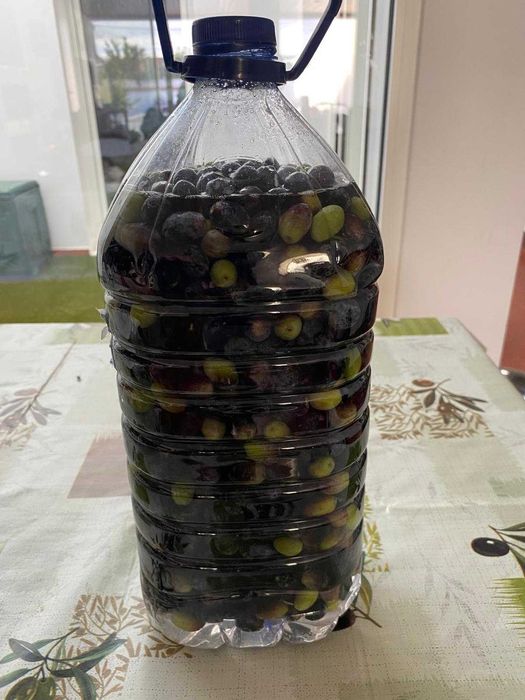 Azeitona Galega Biológica de Reguengos de Monsaraz