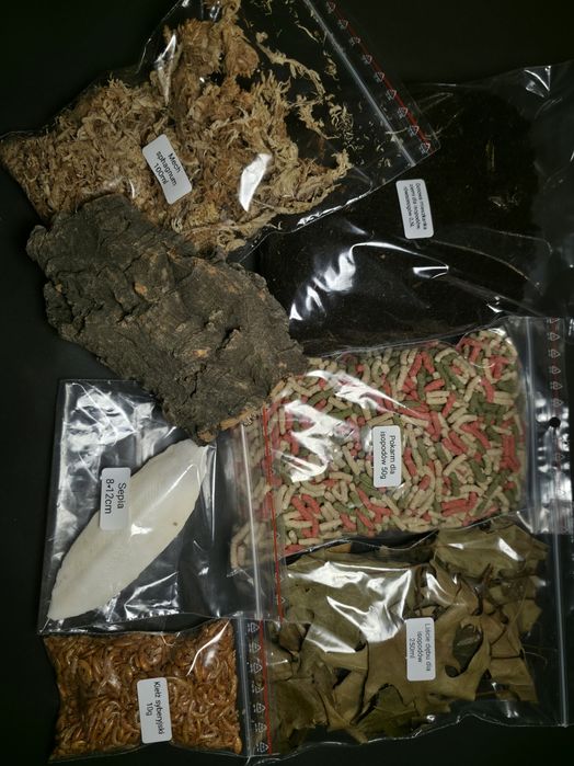 Starter pack do hodowli isopodów