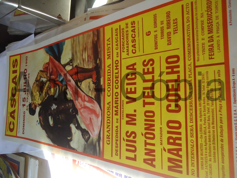 Toiros - Cartazes de Montra 6