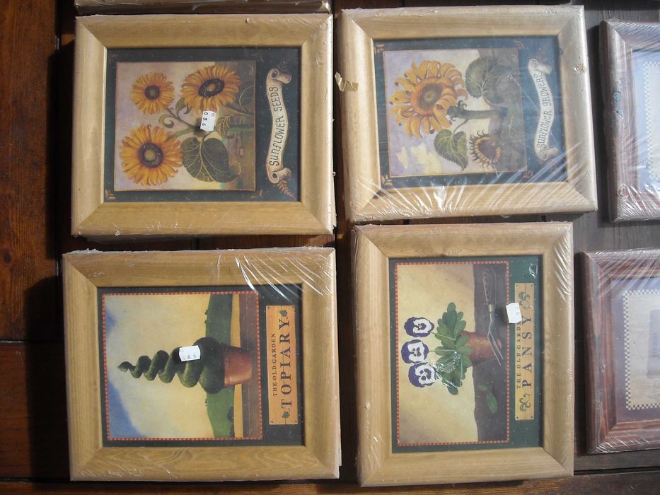 Quadros antigos rusticos vintage gravuras flores e frutos NOVO