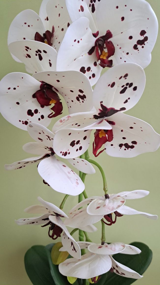 Орхідея латексна (штучні квіти)