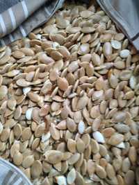 Sprzedam -nasiona dyni z odmiany mieszanej