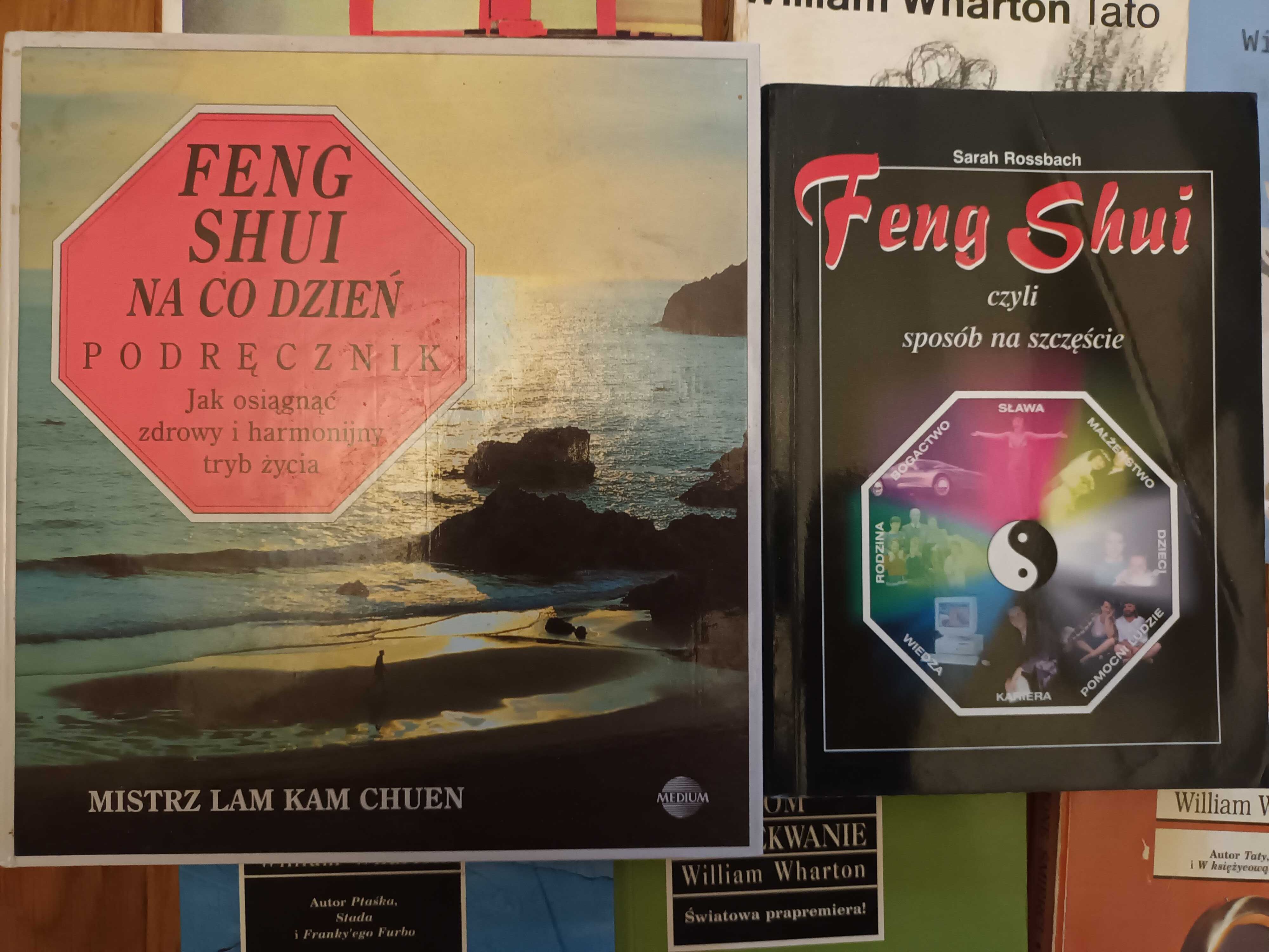 Lam Kam Chuen Feng shui na co dzień. Podręcznik 11