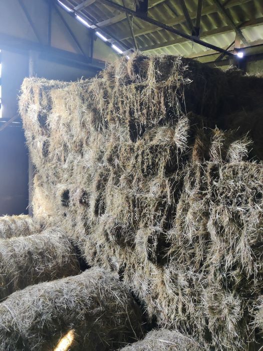 Сіно солома тюки