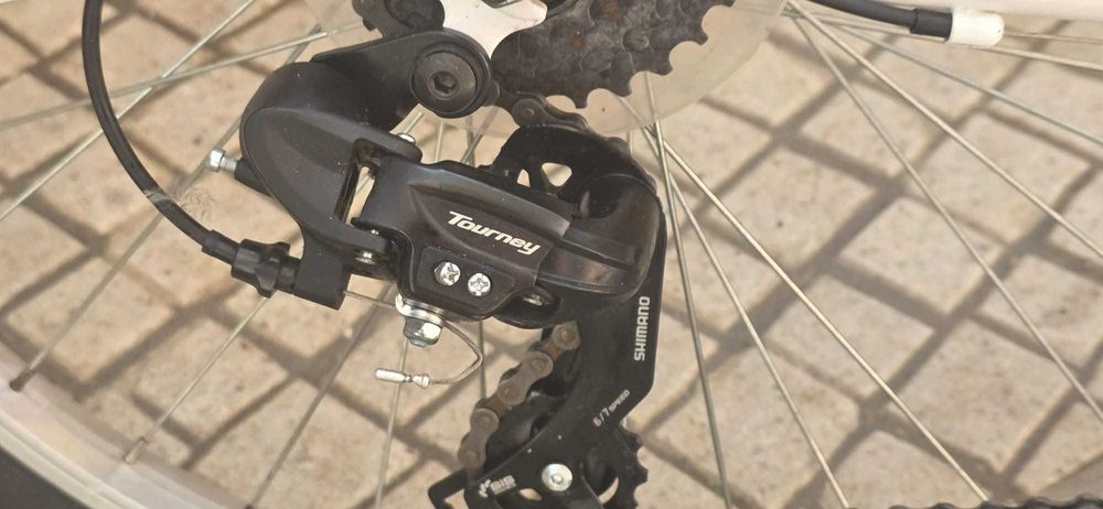 Bicicleta Venus roda 20