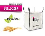 Pszenica ozima BULLDOZER - dostawa cała Polska