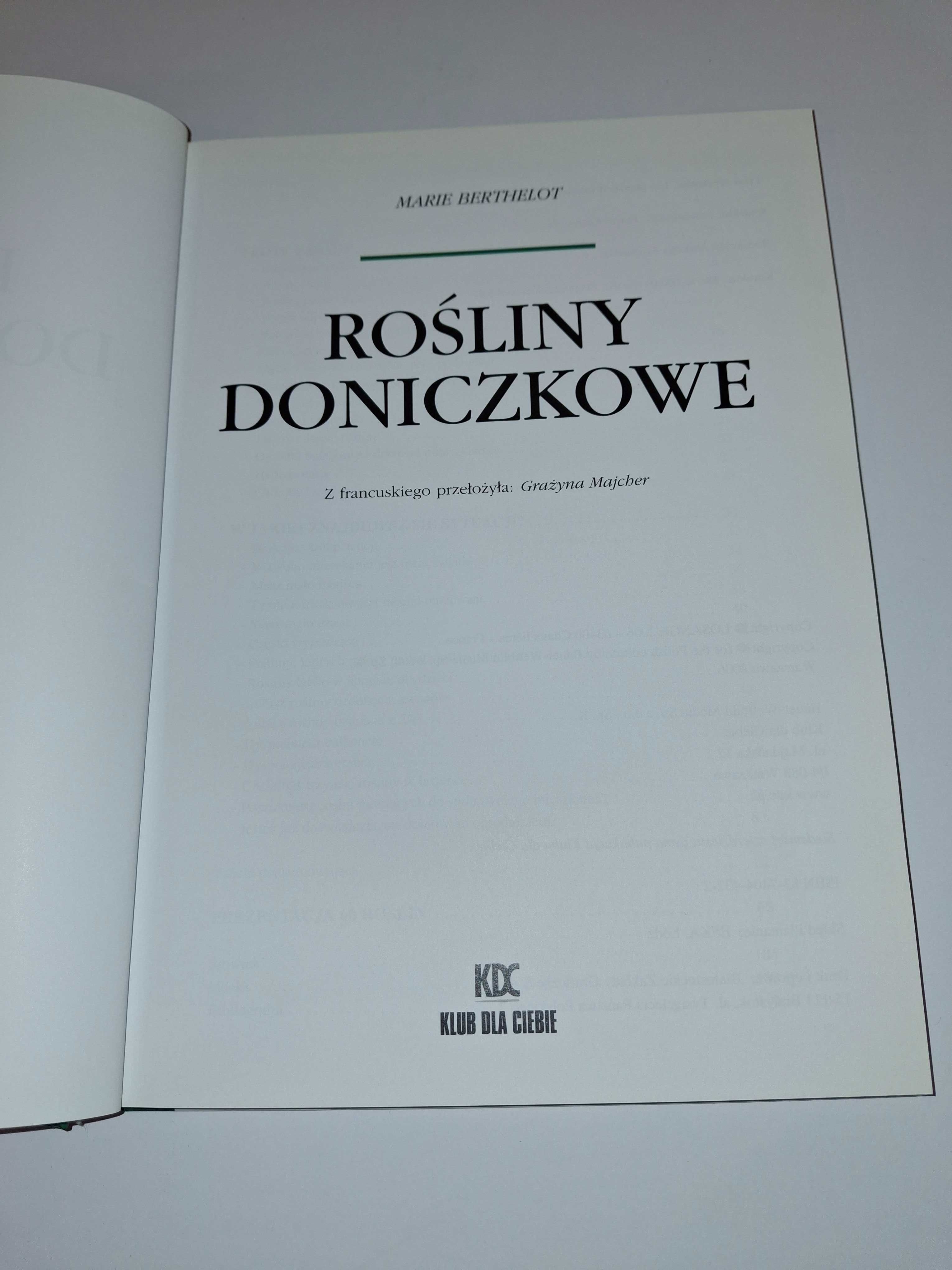 Rośliny doniczkowe Marie Berthelot ,poradnik roślin doniczkowych.