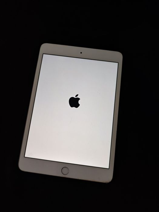 Apple iPad 3 mini LTE