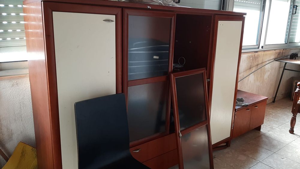 Recolha de sucatas e monos