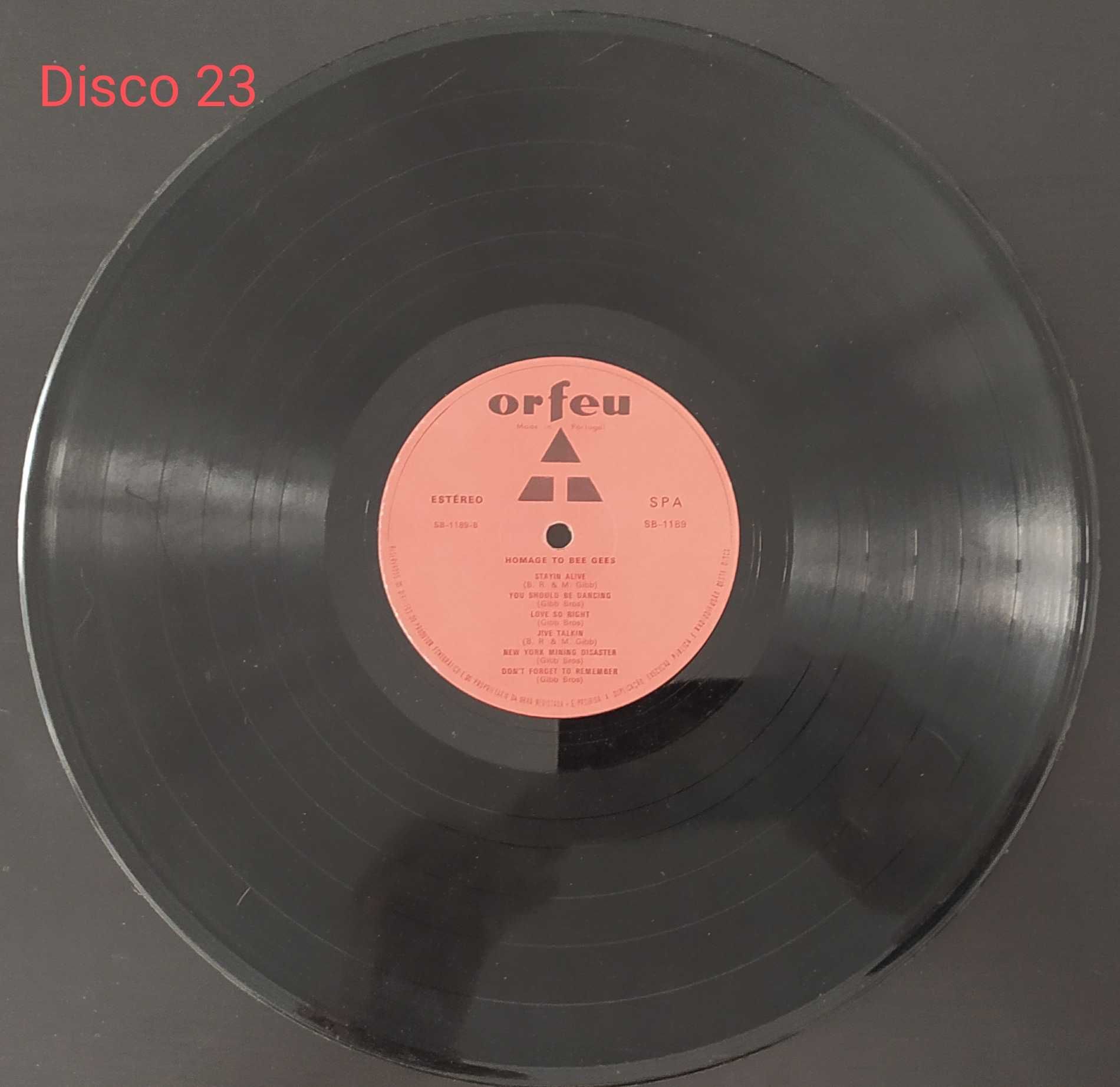 Bee Gees Homage To LP Disco 23