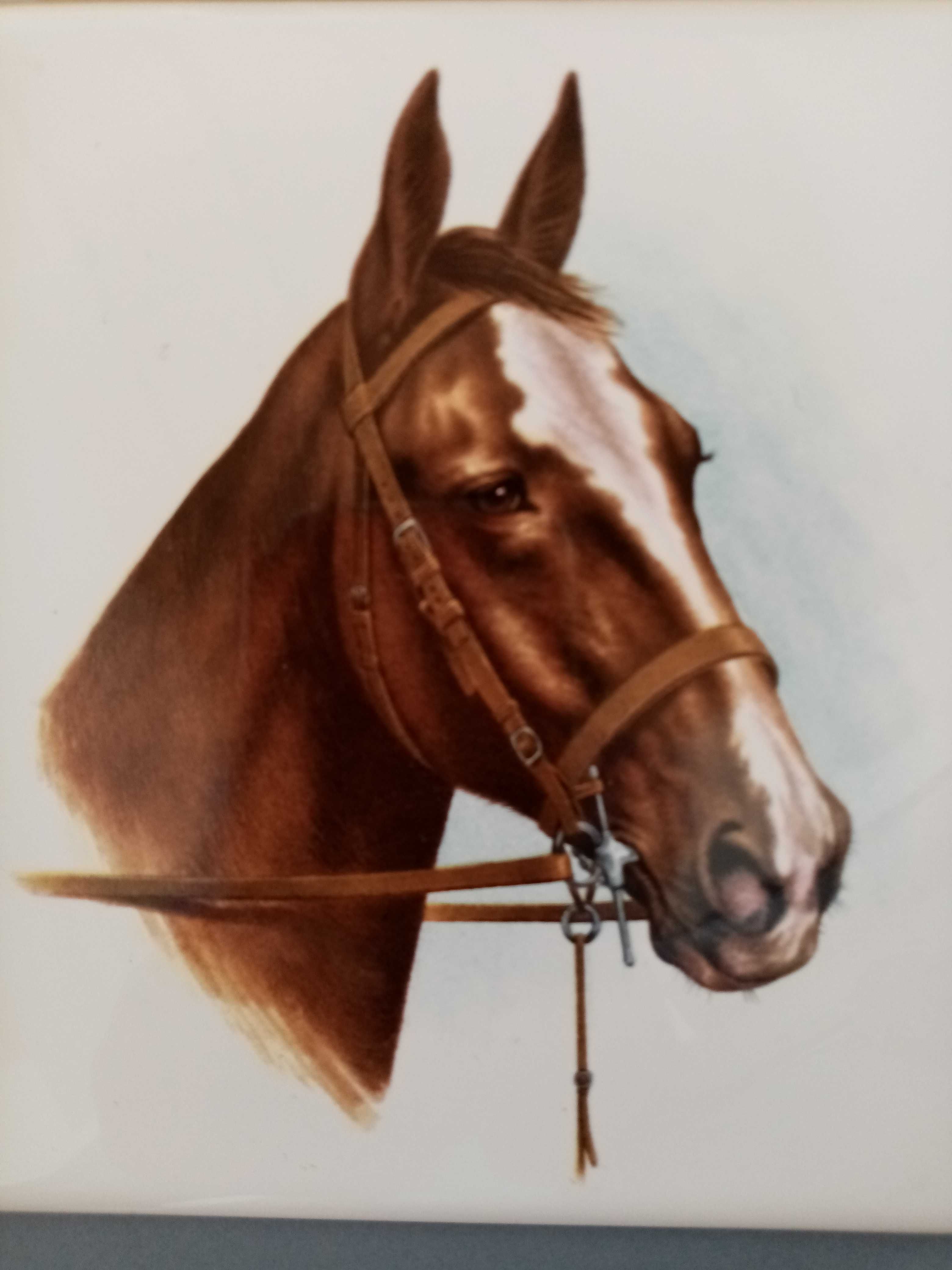 Quadra de azulejos Valadares - Tema Cavalos