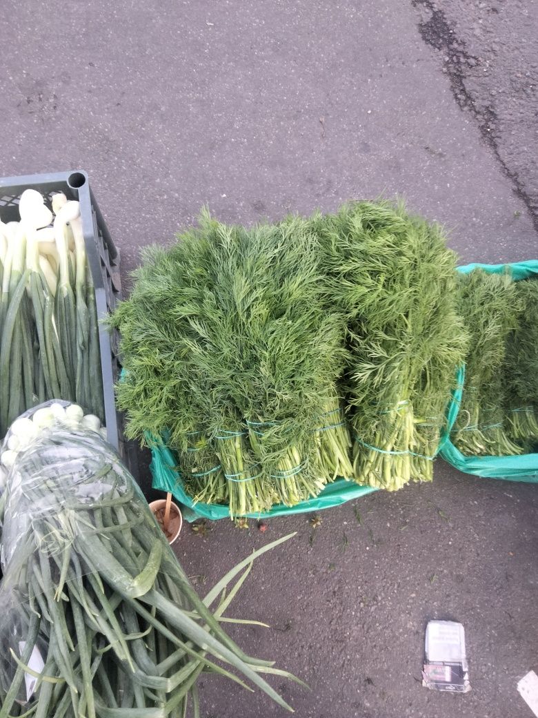 Продам кріп гарної якості