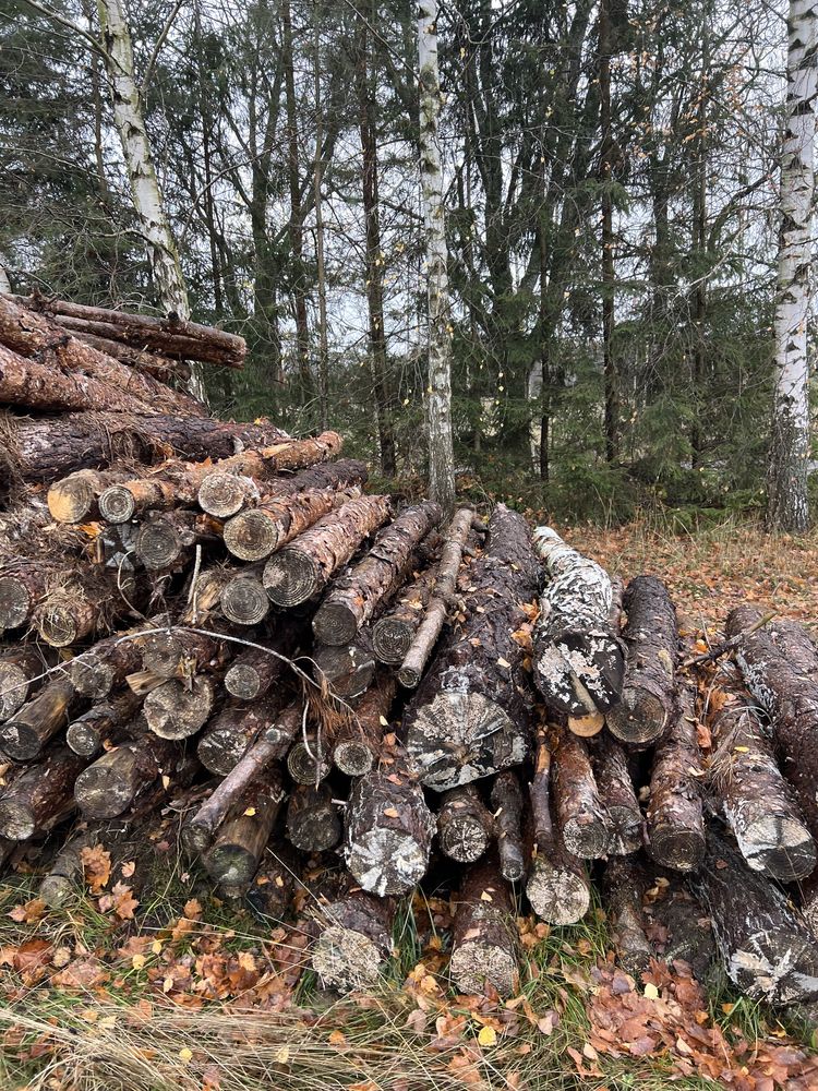 Sprzedam drzewo sosnę , opałowe