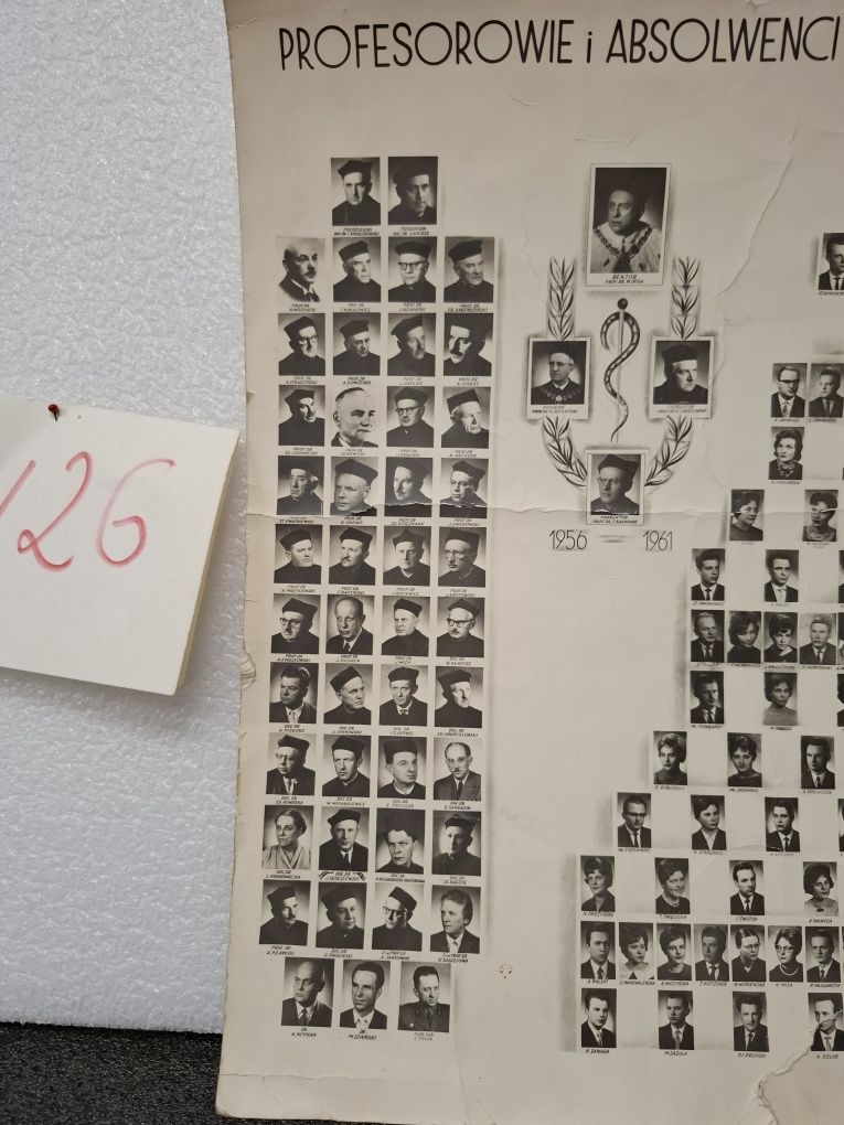 Absolwenci i profesorowie Akademia Medyczna w Poznaniu 1956r