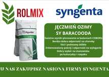 Jęczmień hybrydowy ozimy SY BARACOODA Materiał kwalifikowany