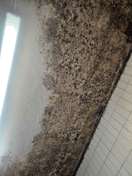 Sapatos colégio militar vários tamanhos (novos) dentro da caixa