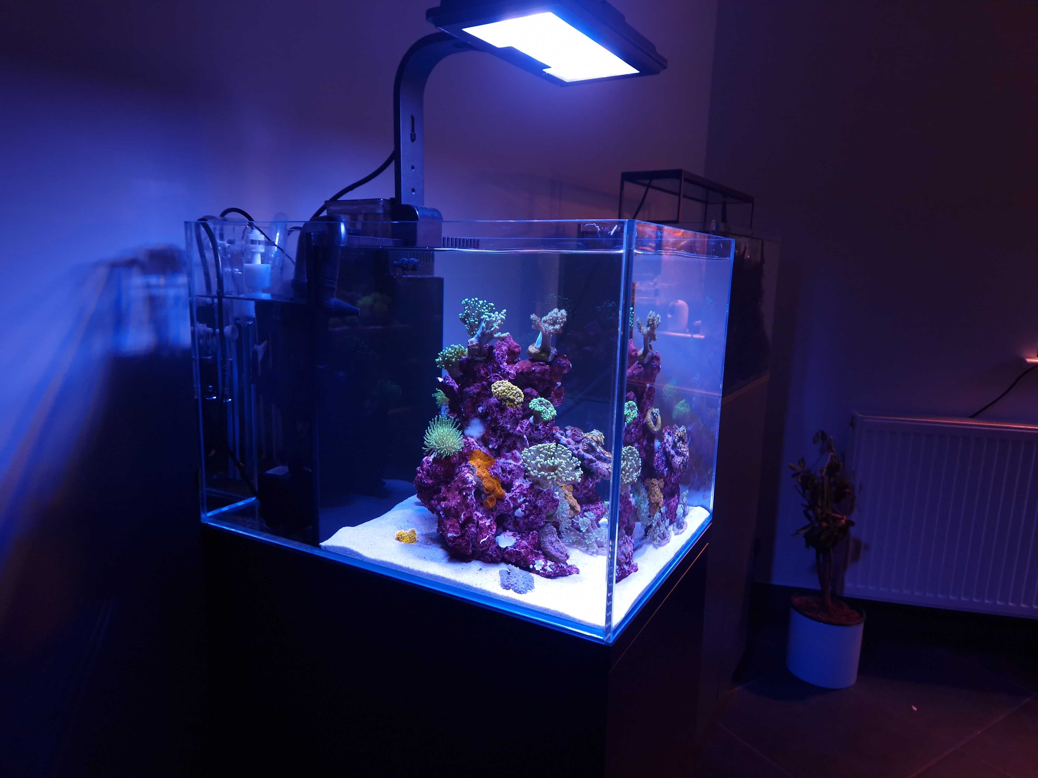 Zestaw ReefHouse Set 30 Kompletne Akwarium Morskie Dla Początkujących