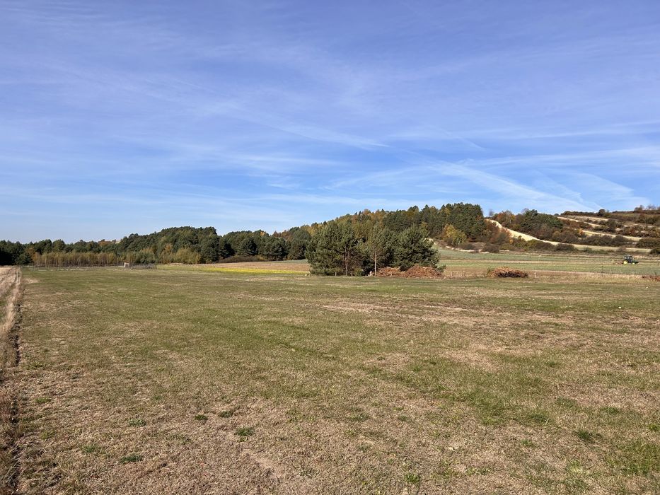 Działka budowlana na Roztoczu 1ha POZWOLENIE NA BUDOWĘ