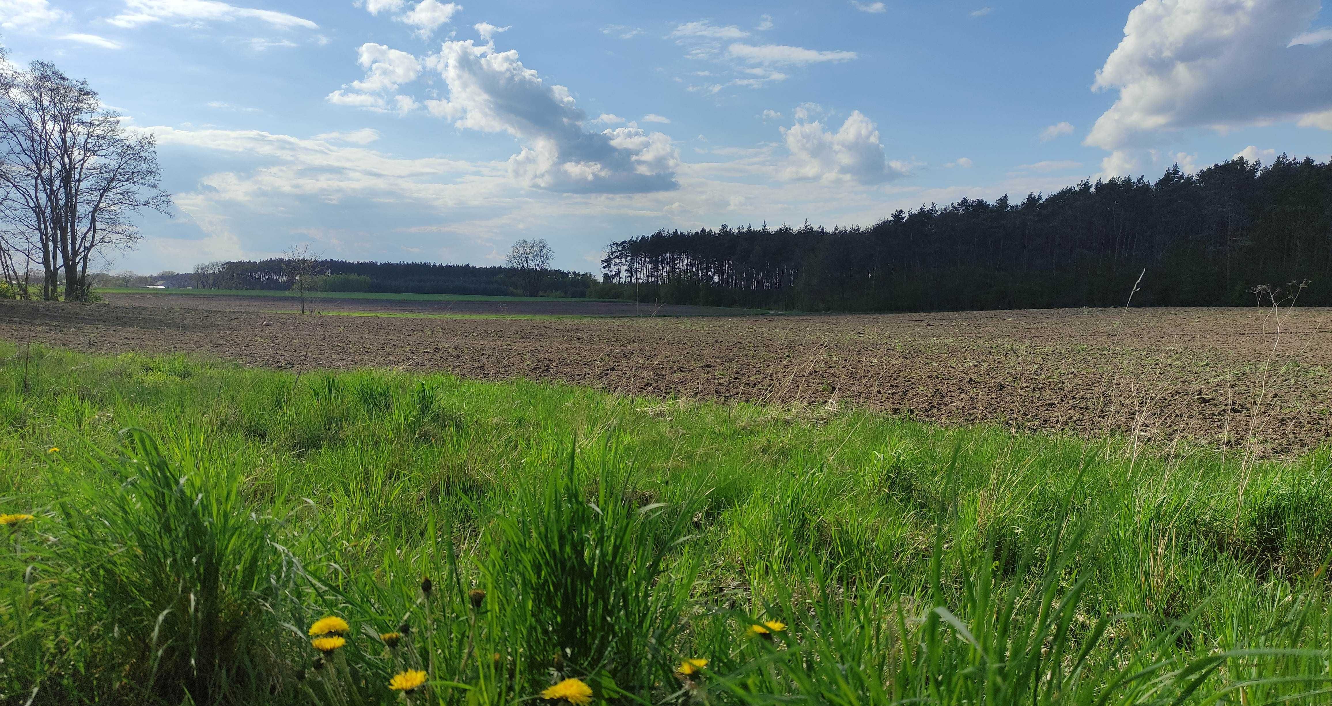 Działka budowla 1343m Huta Bardzyńska gm. Dalików woj. Łódzkie.