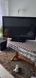 Telewizor Panasonic