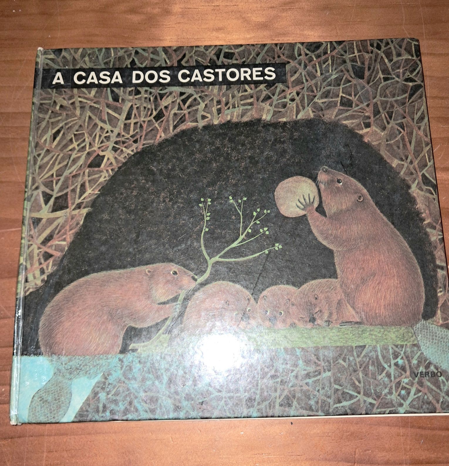 Livros infantis e escolares