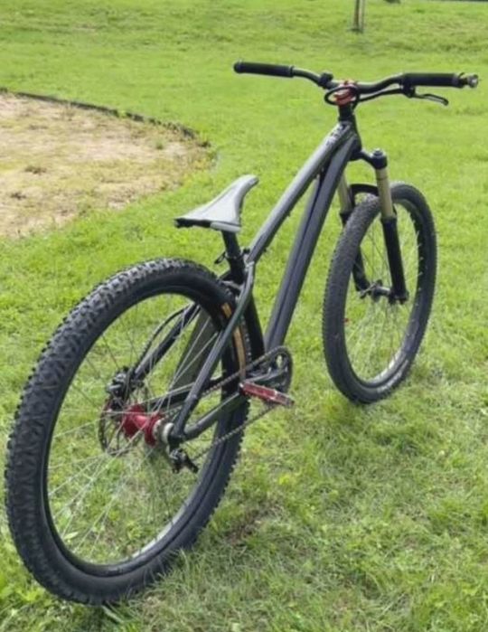 DARTMOOR hornet 2023