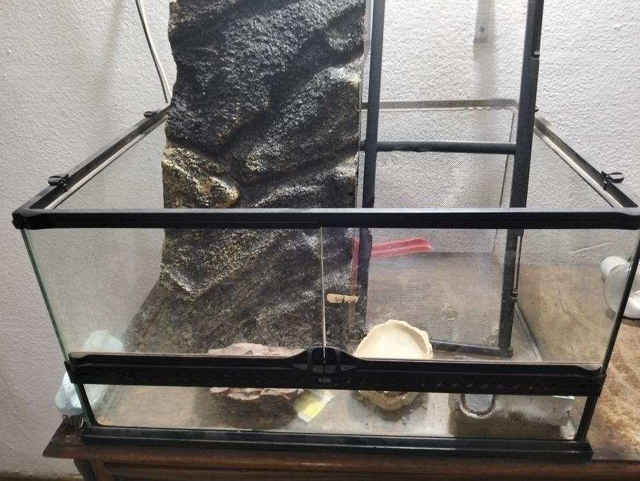 Terrário para dragão