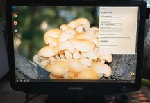 20" монитор Samsung 2032BW