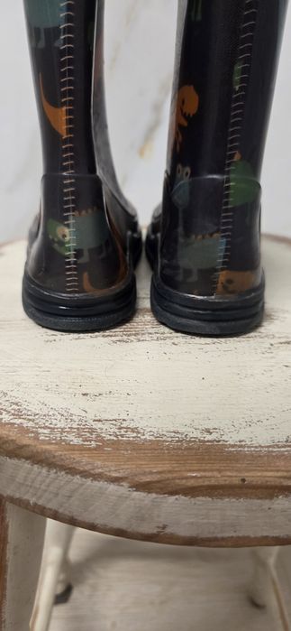 Kalosze chłopięce w dinozaury 29