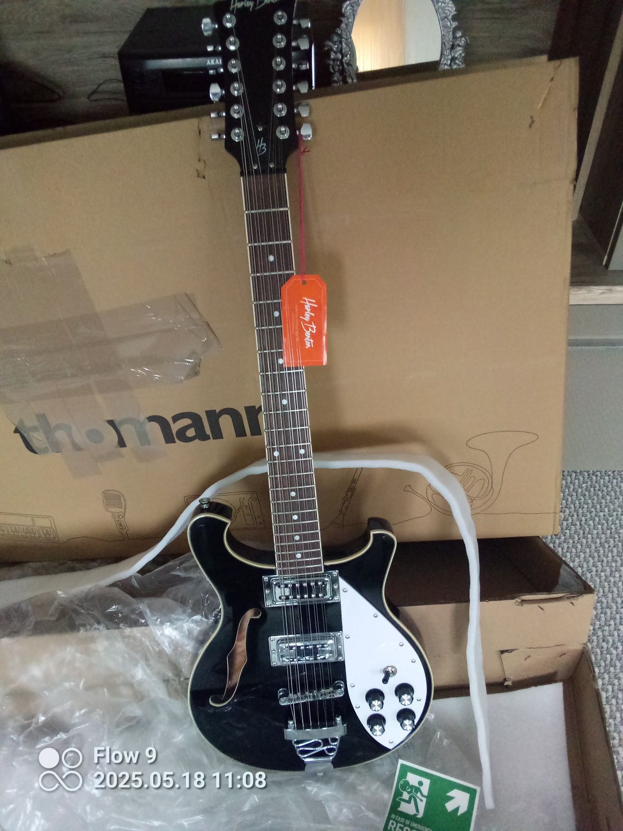 Gitara elektryczna dwunastostrunowa