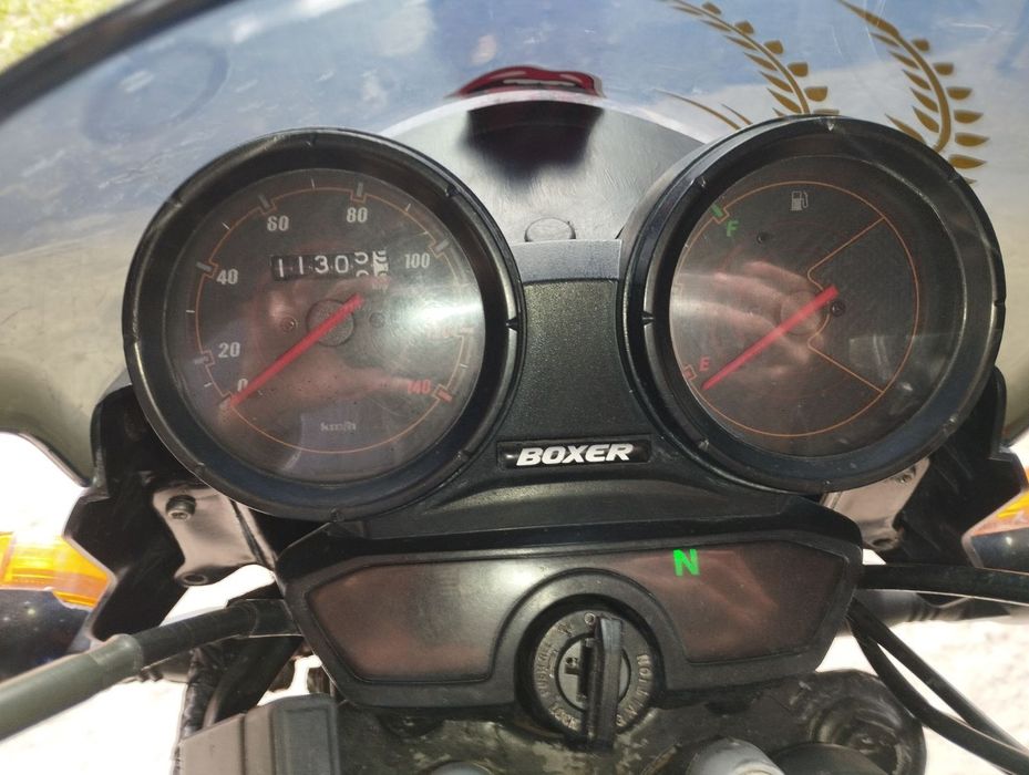 Продам баджач боксер 150