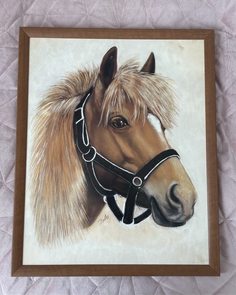 Obraz w ramie brązowy koń 40x50