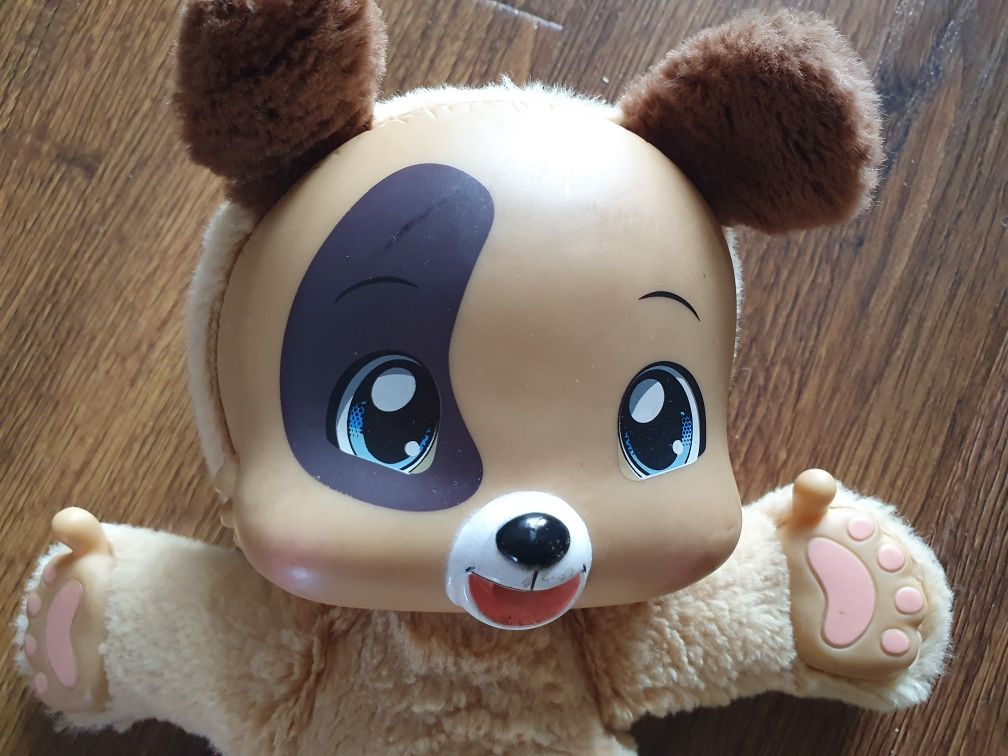 Piesek jasnobrązowy z łapkami i ciemno brązowymi uszami Zoopy Babies